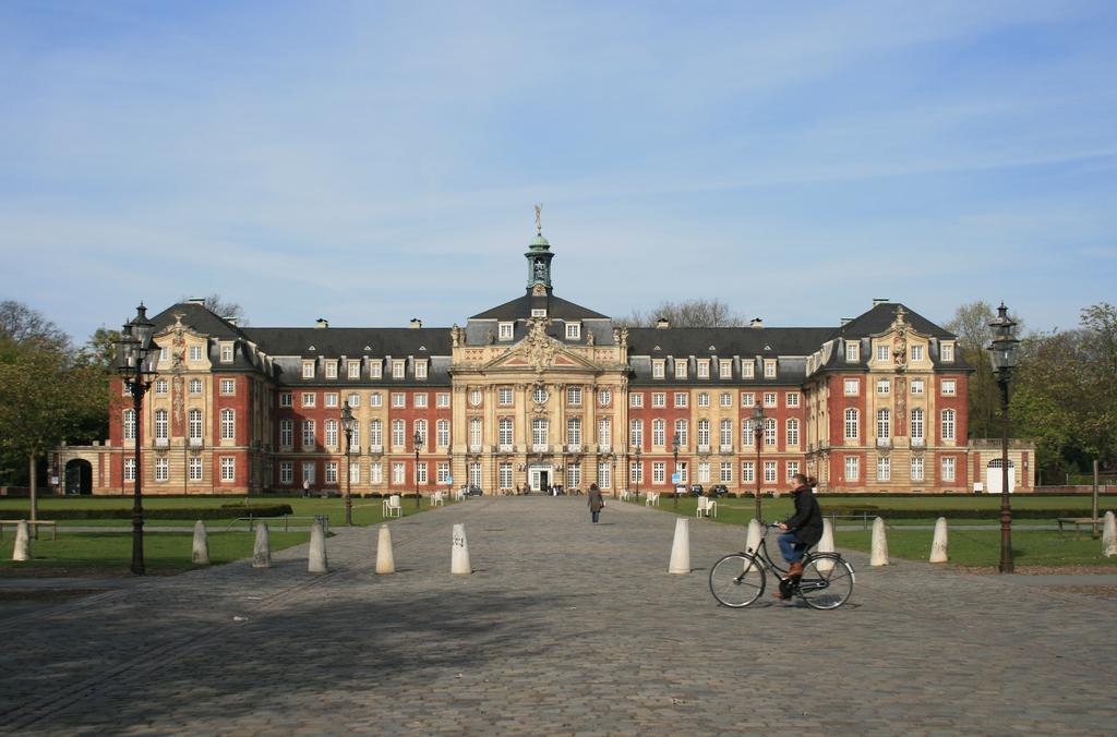 Ibis 3*